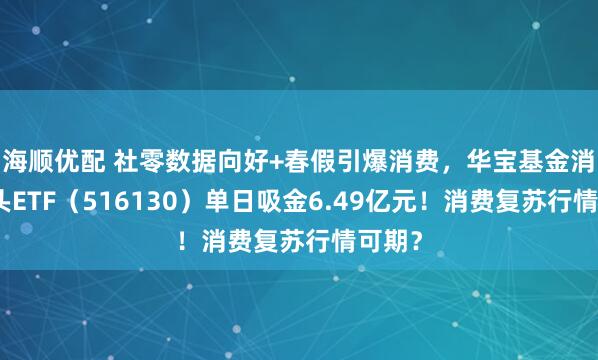 海顺优配 社零数据向好+春假引爆消费，华宝基金消费龙头ETF（516130）单日吸金6.49亿元！消费复苏行情可期？