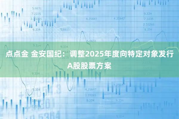 点点金 金安国纪：调整2025年度向特定对象发行A股股票方案