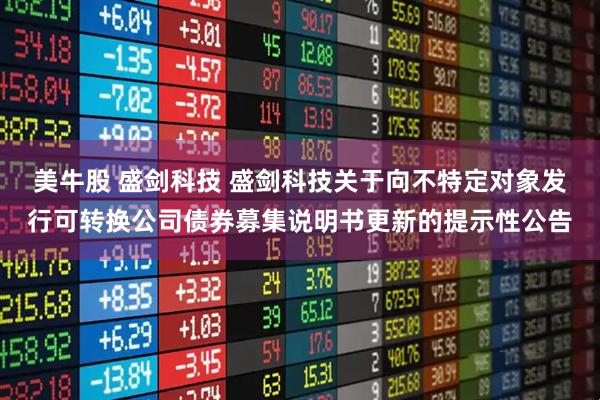 美牛股 盛剑科技 盛剑科技关于向不特定对象发行可转换公司债券募集说明书更新的提示性公告
